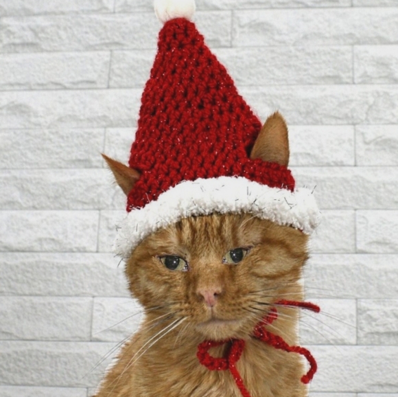 HAND CRAFTED Crochet Santa Cat Hat Costume Photo Prop Christmas Holiday